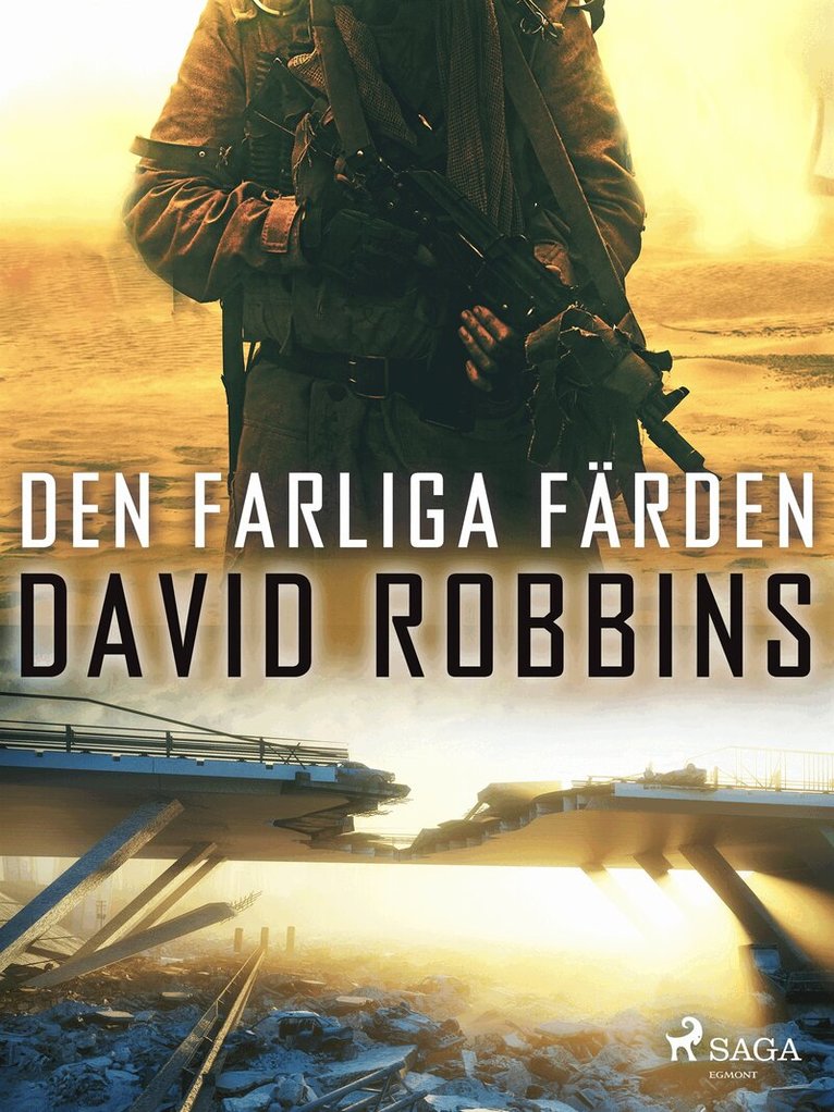 David Robbins - Den farliga färden, E-bok
