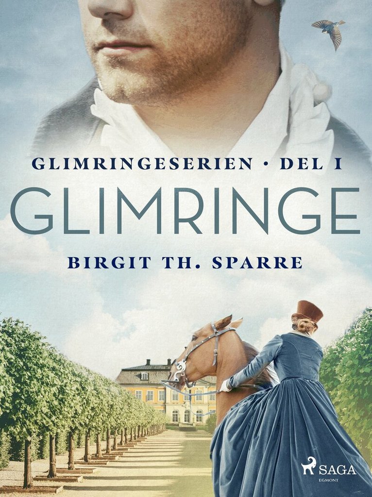 Birgit Th. Sparre - Glimringe, E-bok