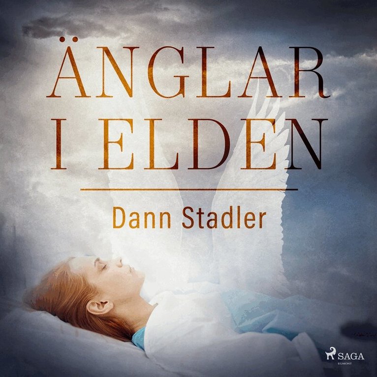 Dann Stadler - Änglar i elden, Ljudbok