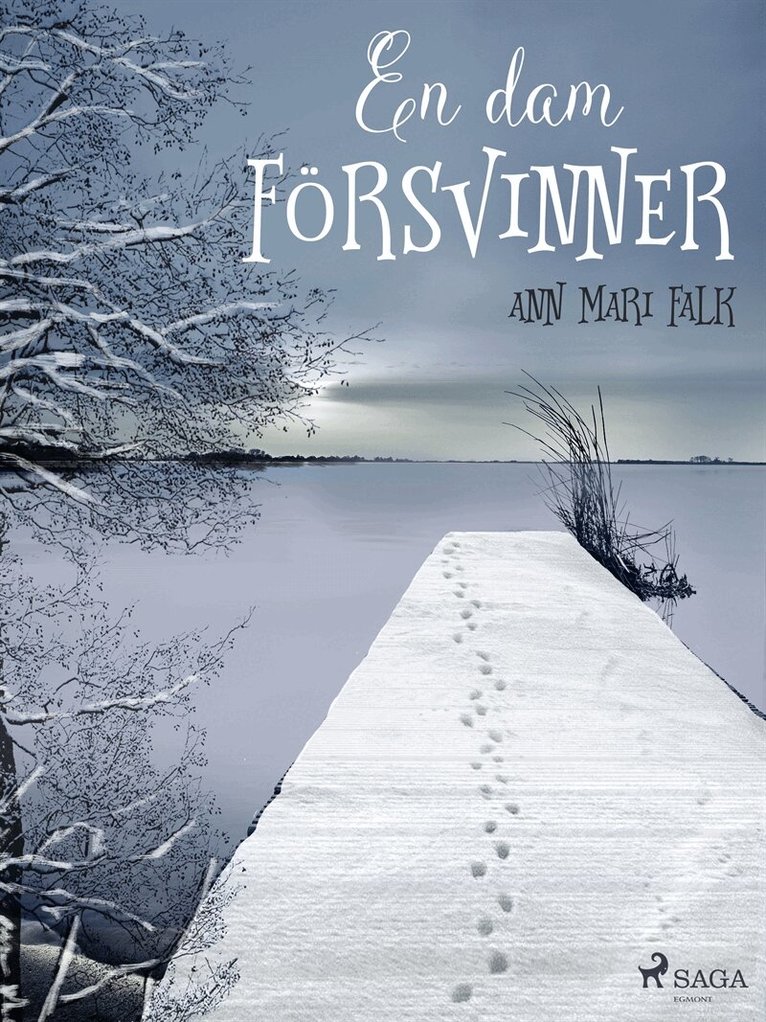 Ann Mari Falk - En dam försvinner, E-bok