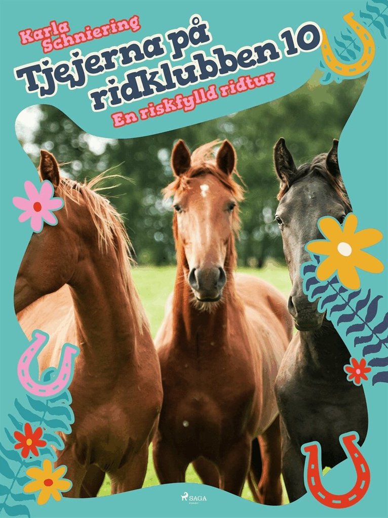 Karla Schniering - Tjejerna på ridklubben 10 - En riskfylld ridtur, E-bok