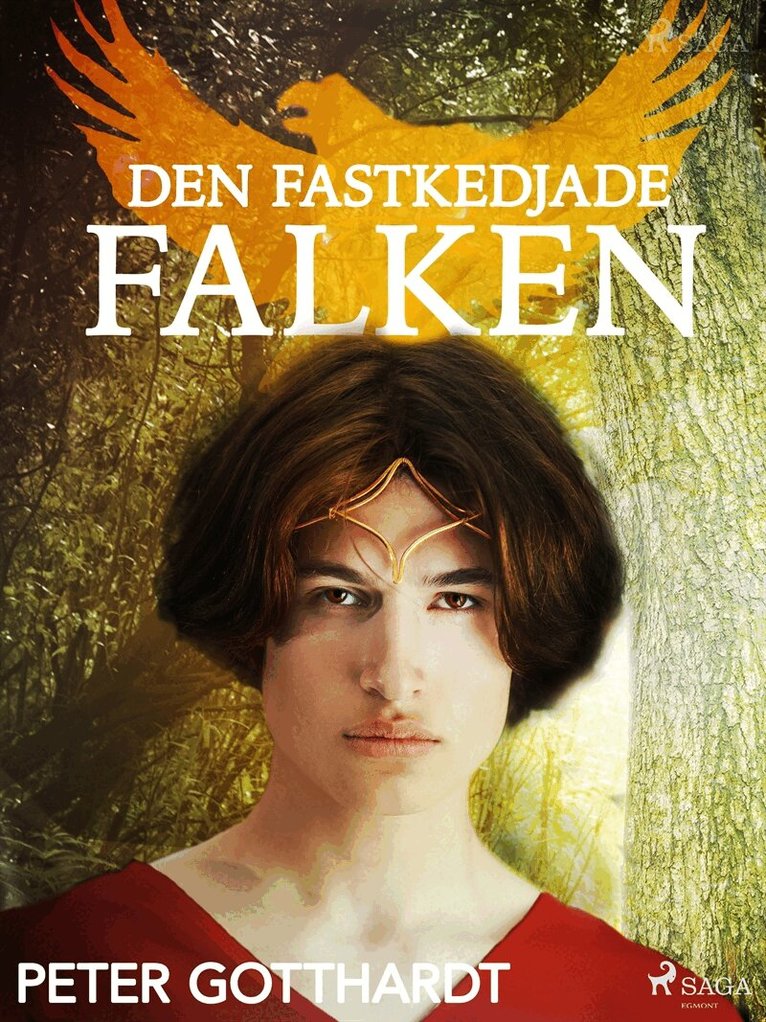 Peter Gotthardt - Den magiska falken 2: Den fastkedjade falken, E-bok