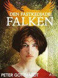 Den magiska falken 2: Den fastkedjade falken