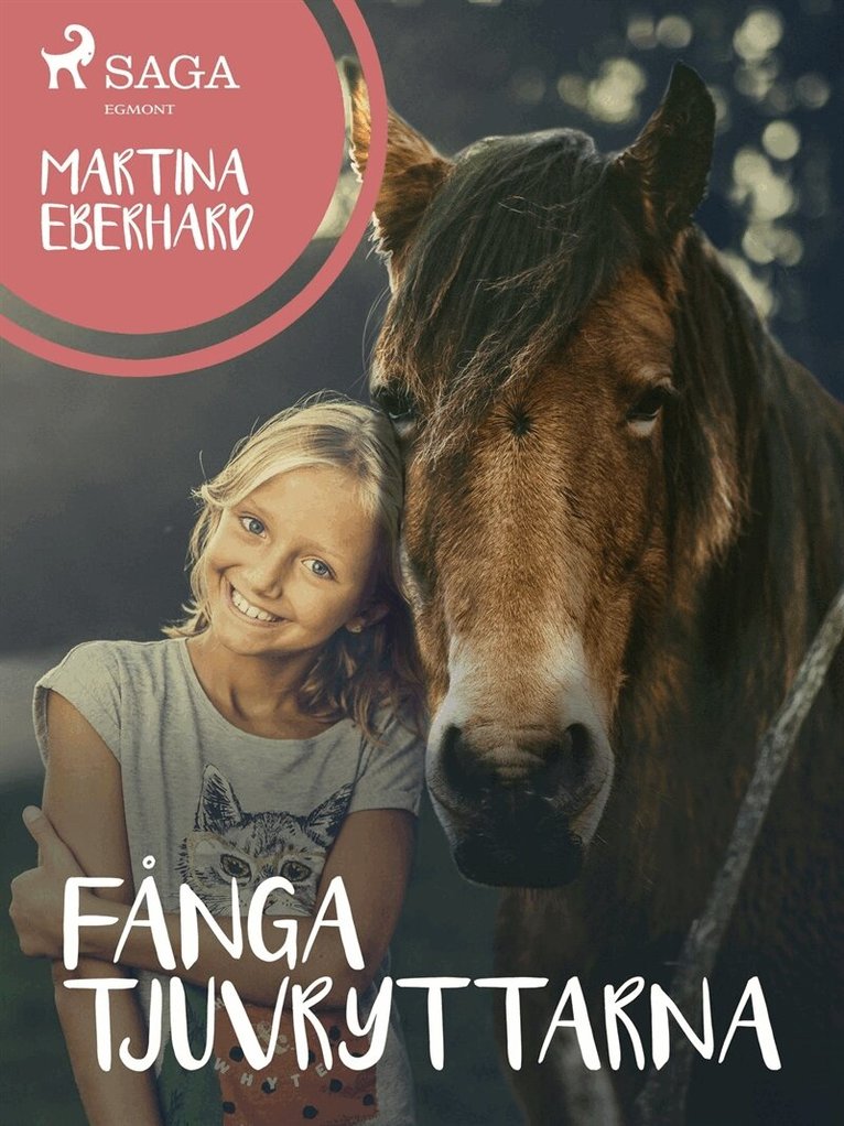 Martina Eberhard - Fånga tjuvryttarna, E-bok