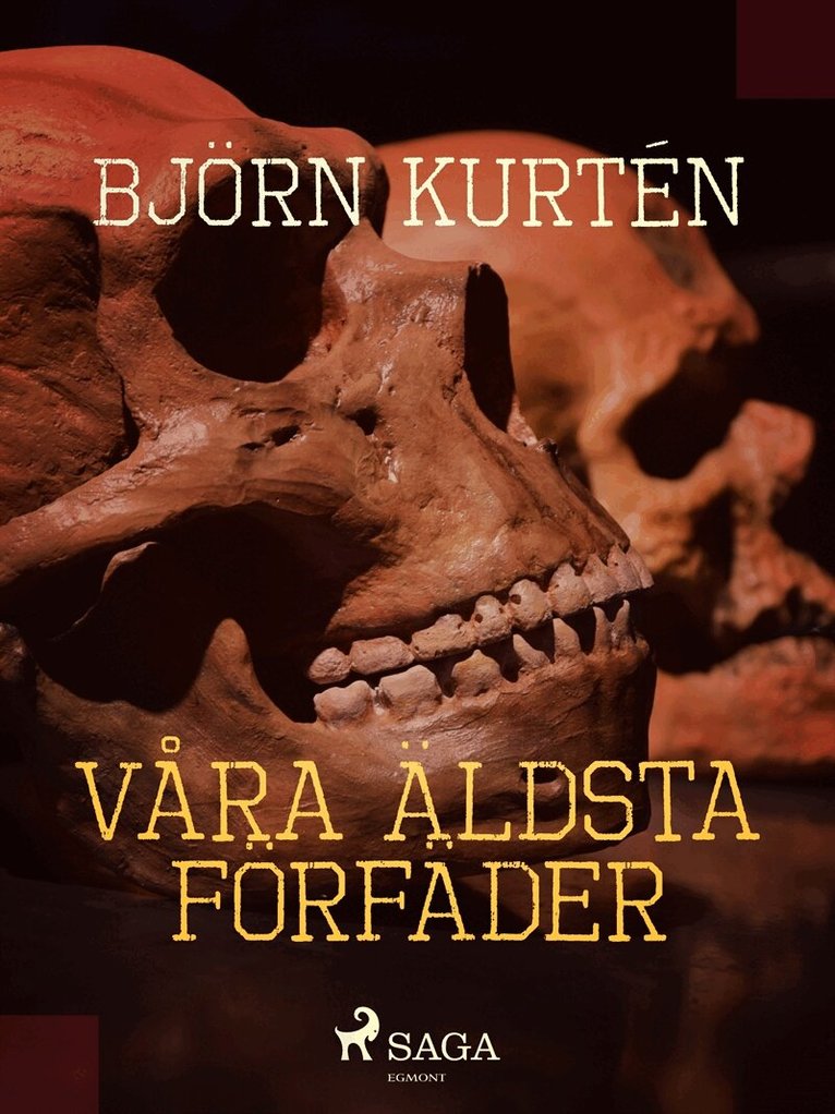 Björn Kurtén - Våra äldsta förfäder, E-bok