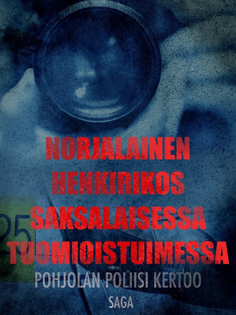 Eri Tekijöitä - Norjalainen henkirikos saksalaisessa tuomioistuimessa, E-bok