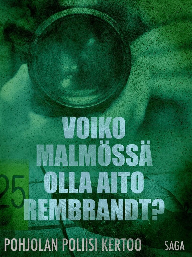 Eri Tekijöitä - Voiko Malmössä olla aito Rembrandt?, E-bok