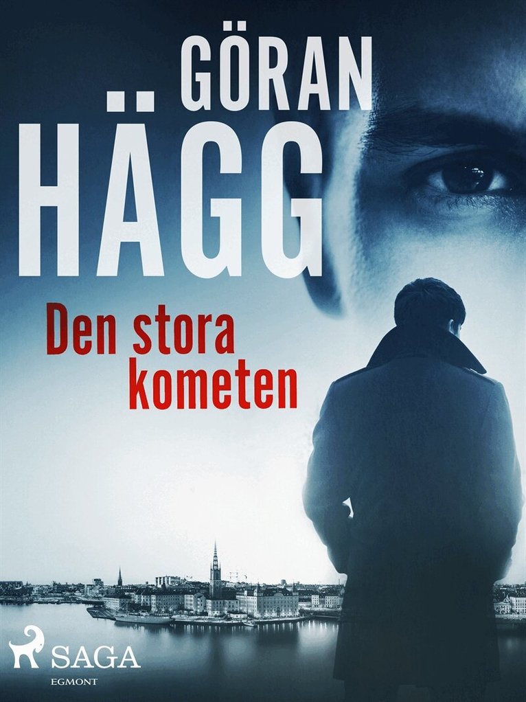 Göran Hägg - Den stora kometen, E-bok