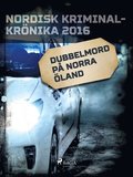 Dubbelmord p norra land