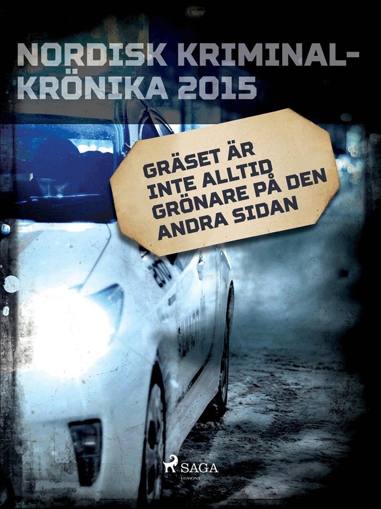 Diverse författare - Gräset är inte alltid grönare på den andra sidan, E-bok