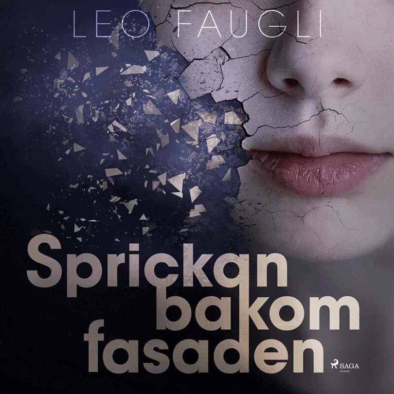 Leo Faugli - Sprickan bakom fasaden, Ljudbok