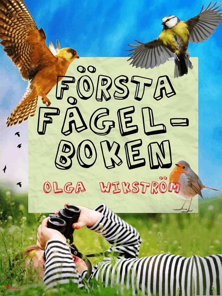 Olga Wikström - Första fågelboken, E-bok