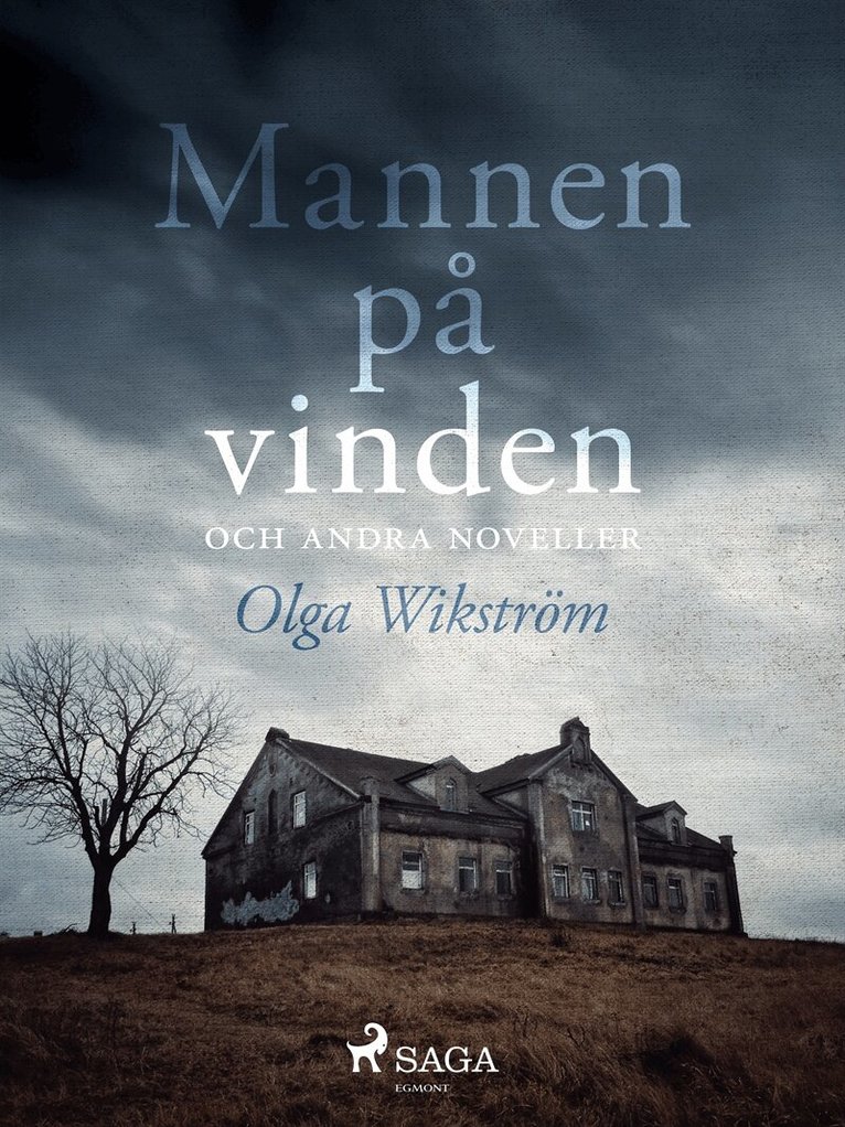 Olga Wikström - Mannen på vinden och andra noveller, E-bok