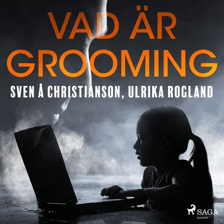 Sven Å Christianson, Ulrika Rogland - Vad är grooming, Ljudbok