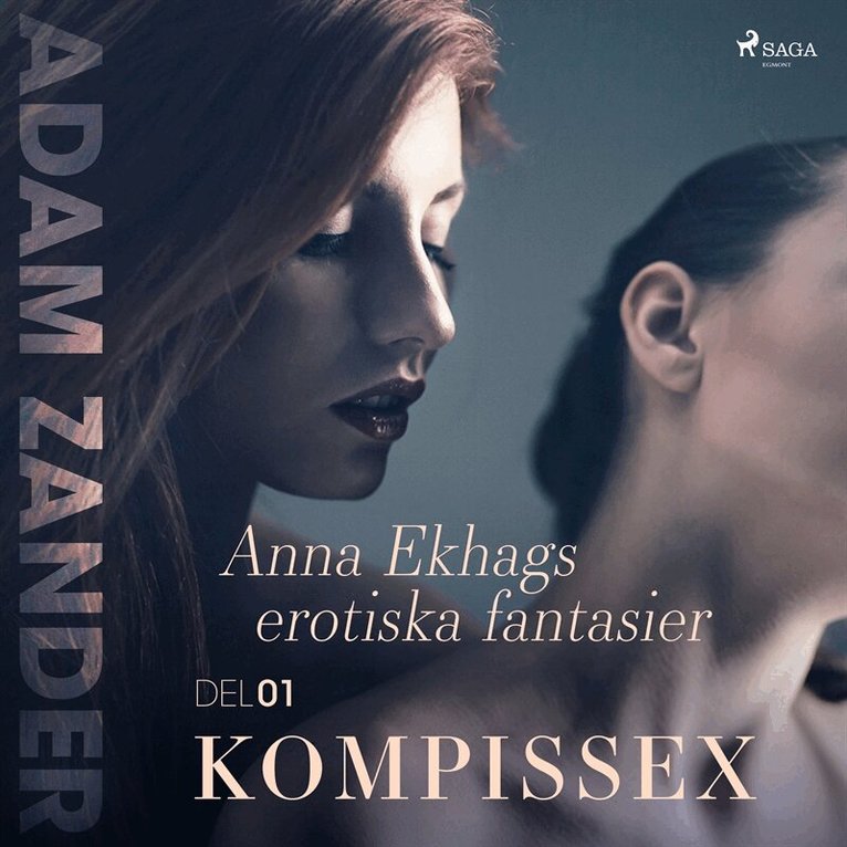 Adam Zander - Kompissex – Anna Ekhags erotiska fantasier del 1, Ljudbok