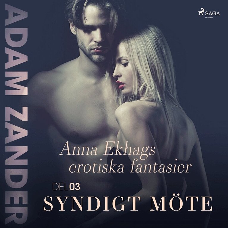 Adam Zander - Syndigt möte – Anna Ekhags erotiska fantasier del 3, Ljudbok
