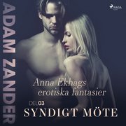 Syndigt möte ? Anna Ekhags erotiska fantasier del 3