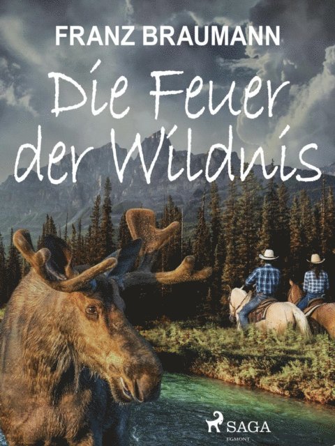 Franz Braumann - Die Feuer der Wildnis, E-bok