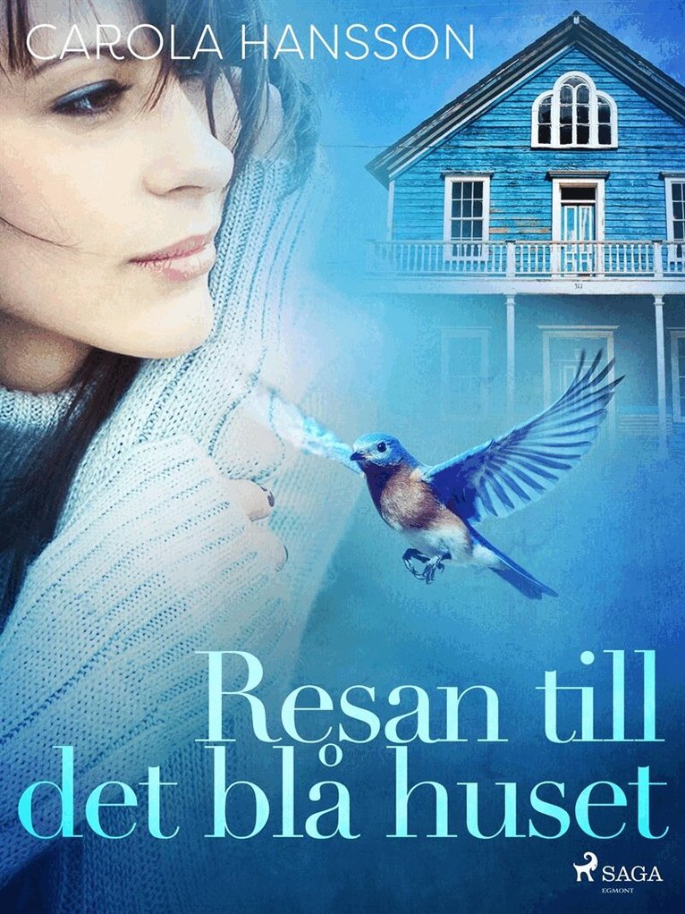 Carola Hansson - Resan till det blå huset, E-bok