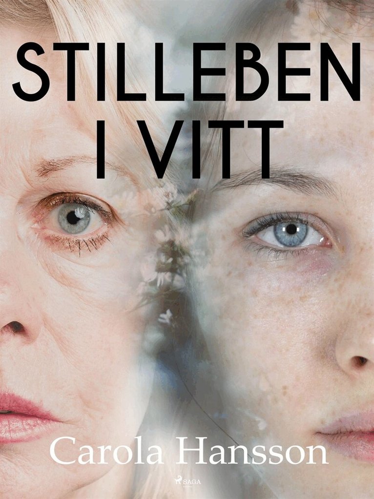 Carola Hansson - Stilleben i vitt, E-bok