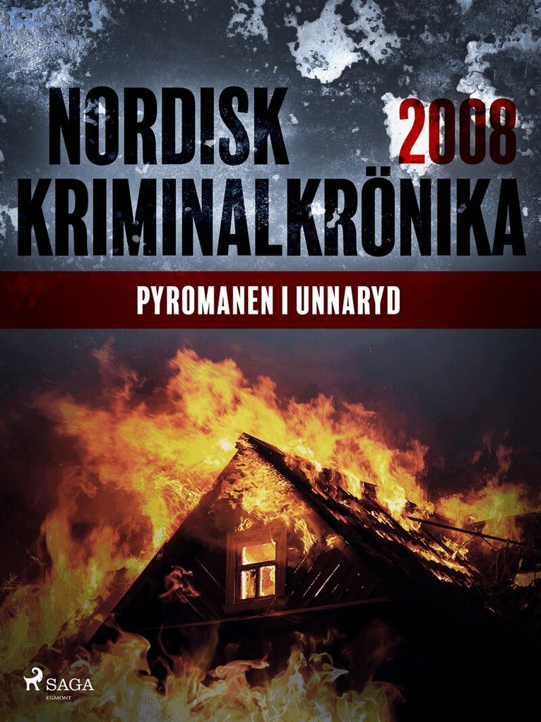 Diverse - Pyromanen i Unnaryd, E-bok