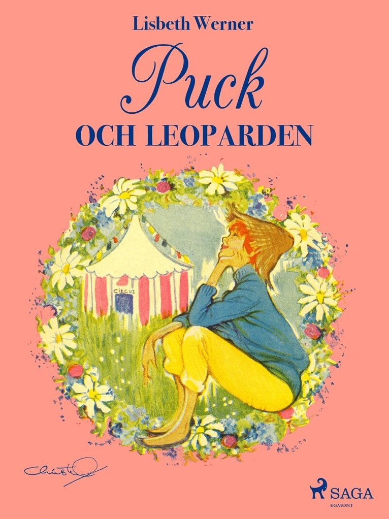 Lisbeth Werner - Puck och leoparden, E-bok
