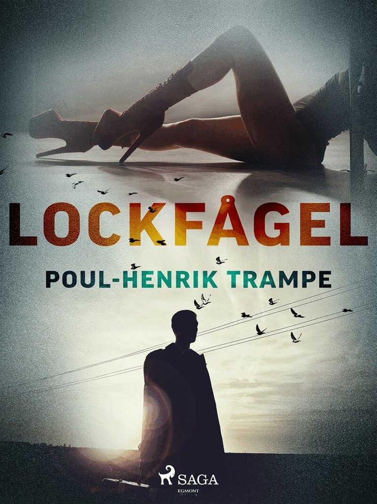 Poul-Henrik Trampe - Lockfågel, E-bok