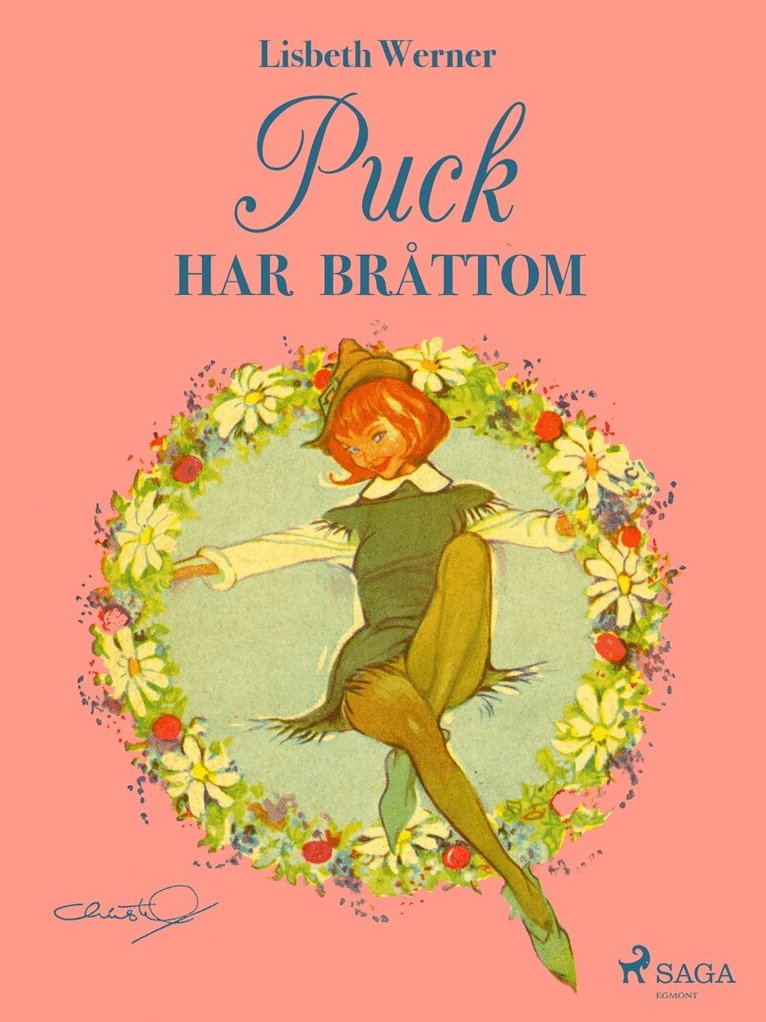 Lisbeth Werner - Puck har bråttom, E-bok