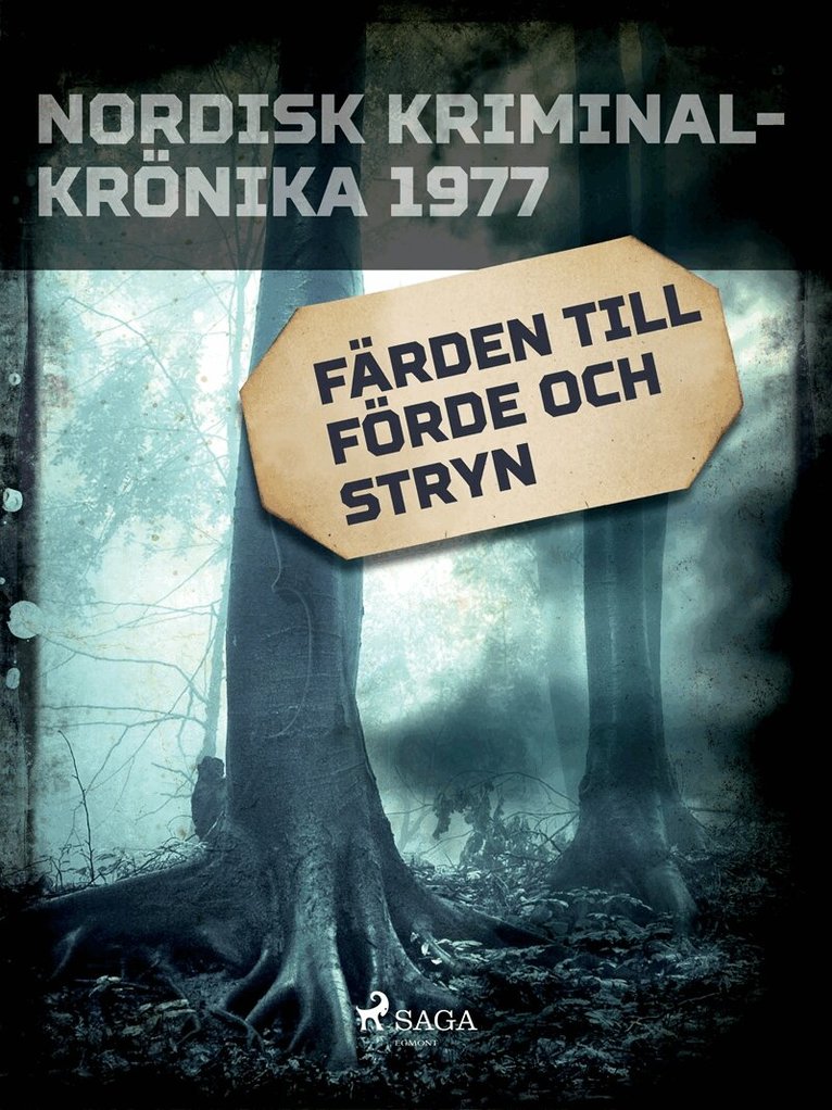 Diverse - Färden till Förde och Stryn, E-bok