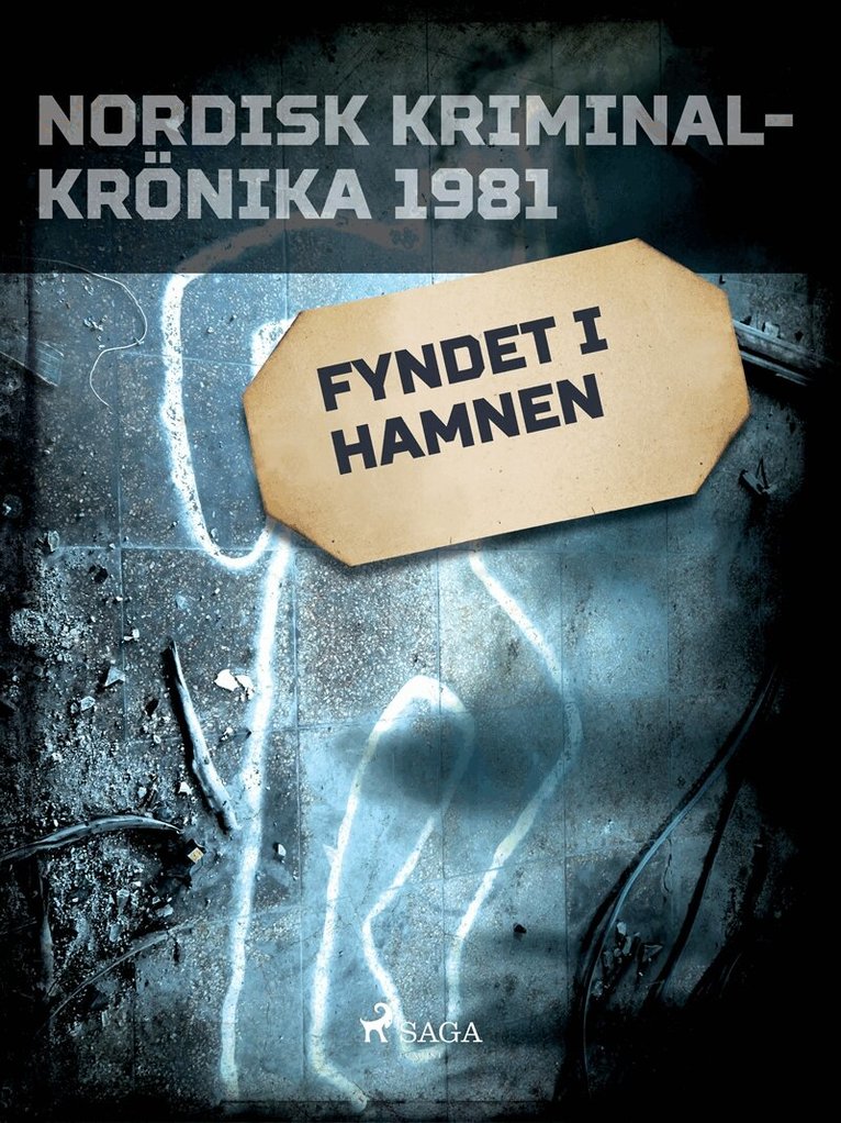 Diverse - Fyndet i hamnen, E-bok
