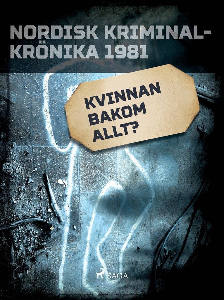 Diverse - Kvinnan bakom allt?, E-bok