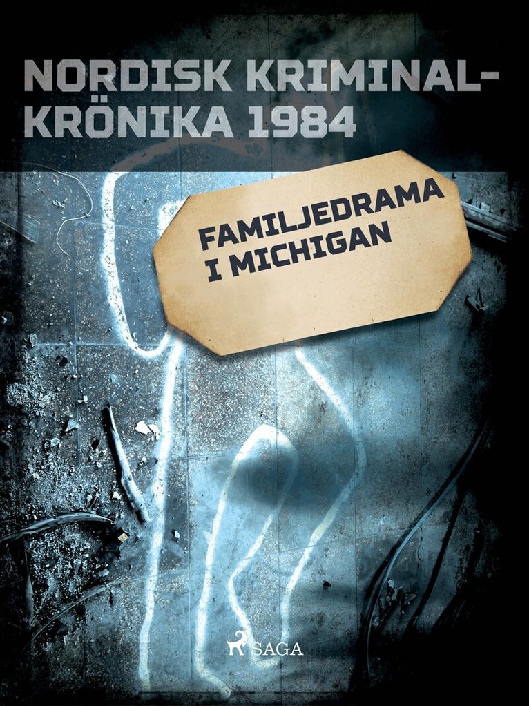 Diverse - Familjedrama i Michigan, E-bok