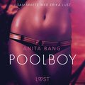 Poolboy - en erotisk novell