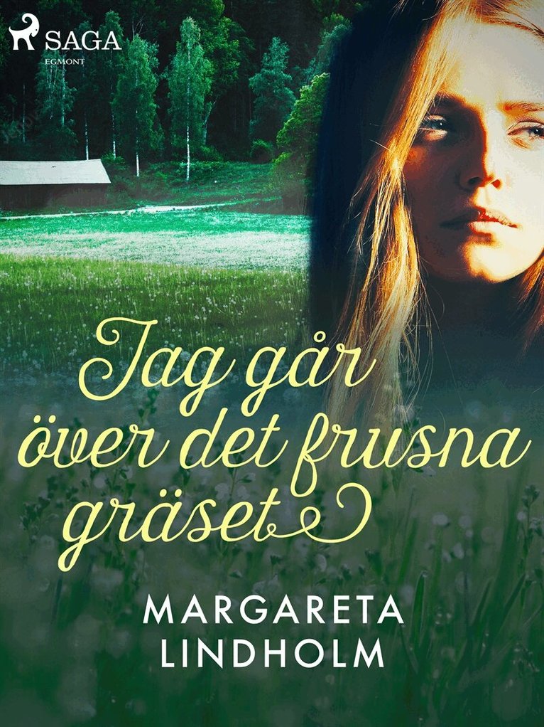 Margareta Lindholm - Jag går över det frusna gräset, E-bok
