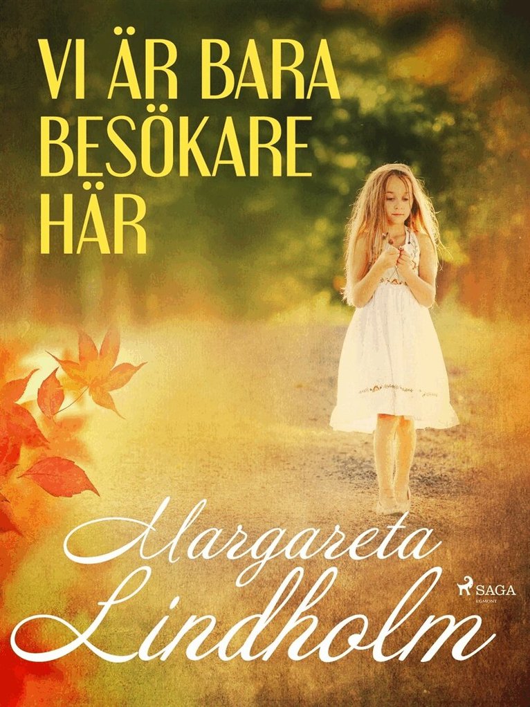 Margareta Lindholm - Vi är bara besökare här, E-bok