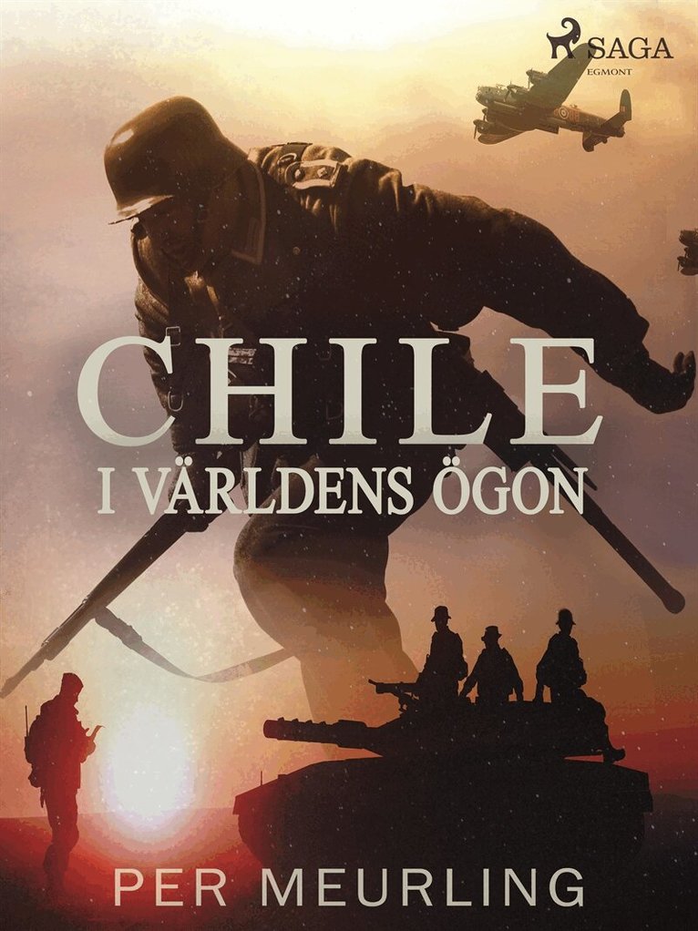 Per Meurling - Chile i världens ögon, E-bok