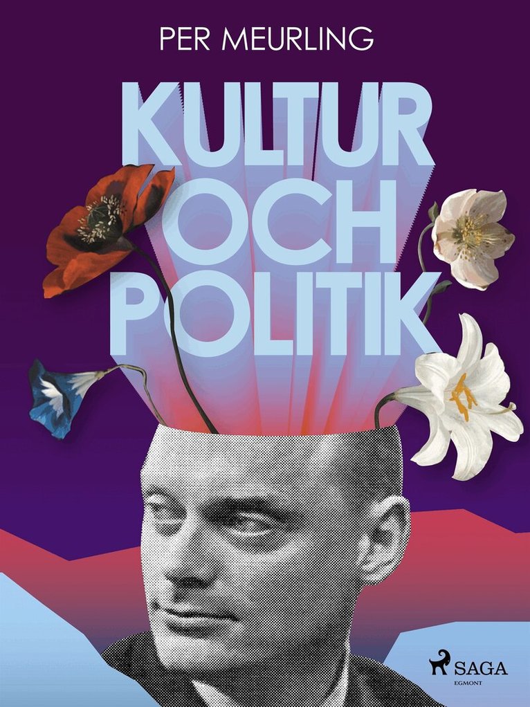 Per Meurling - Kultur och politik, E-bok