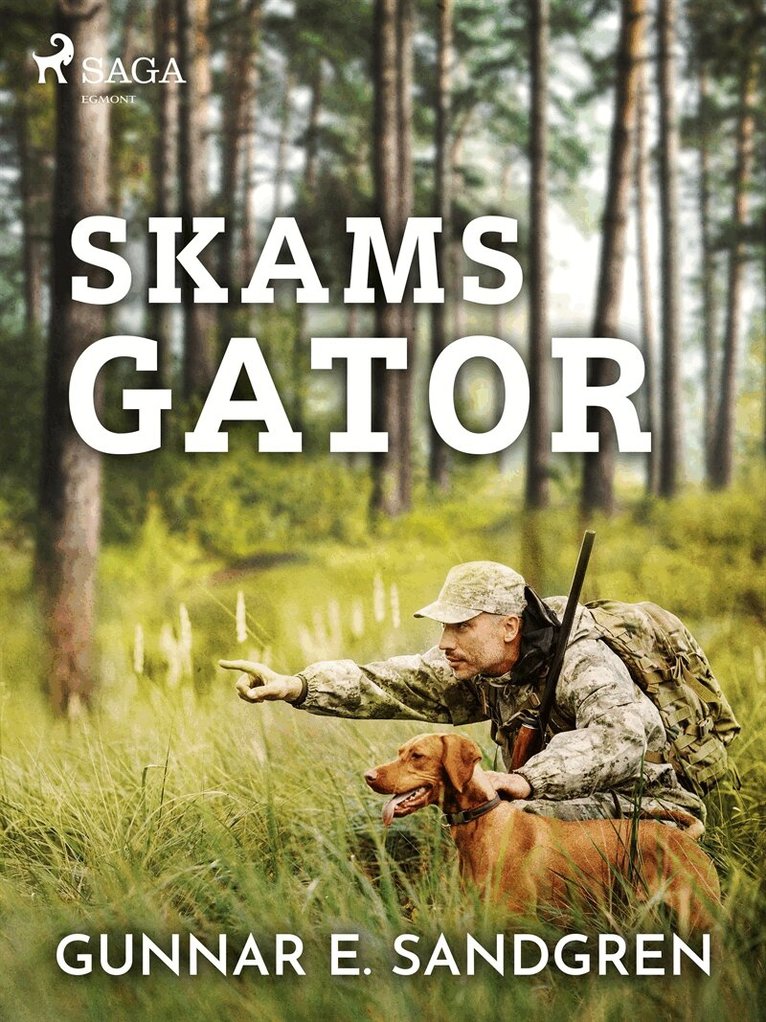 Gunnar E. Sandgren - Skams gator, E-bok