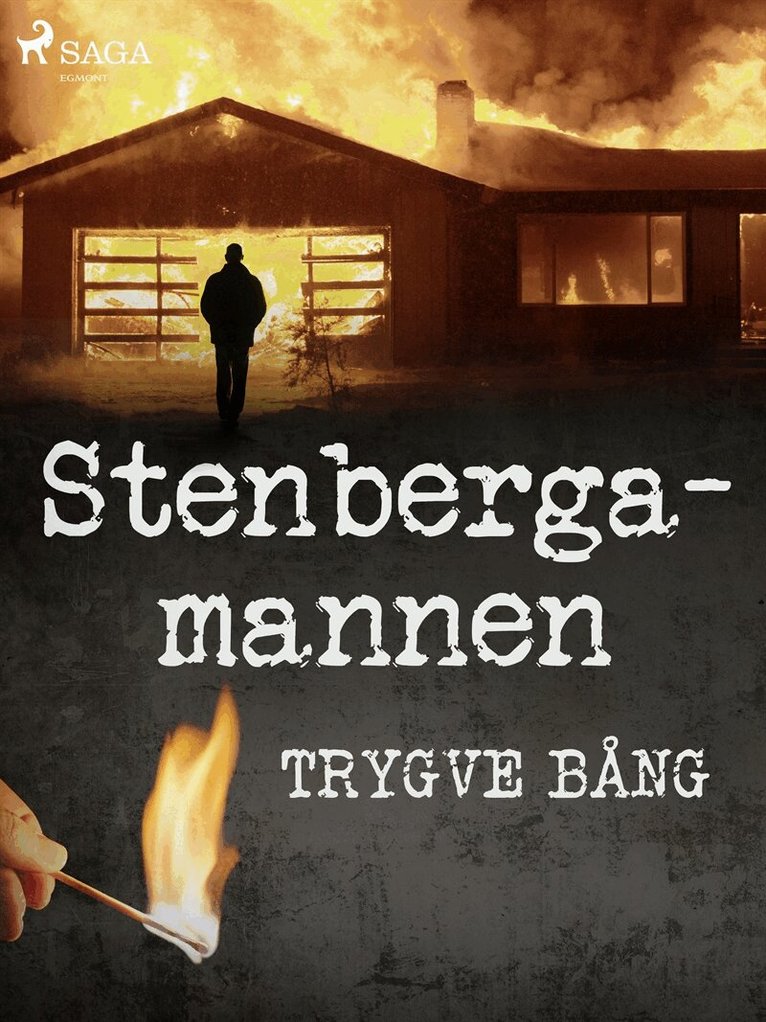 Trygve Bång - Stenbergamannen, E-bok