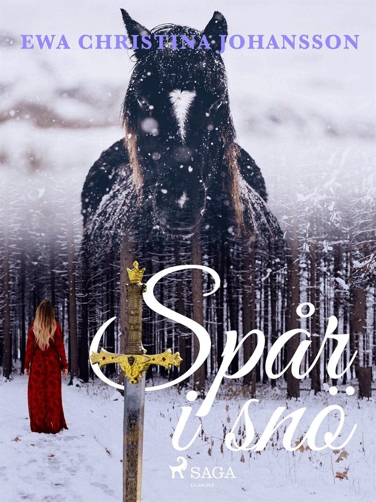 Ewa Christina Johansson - Spår i snö, E-bok