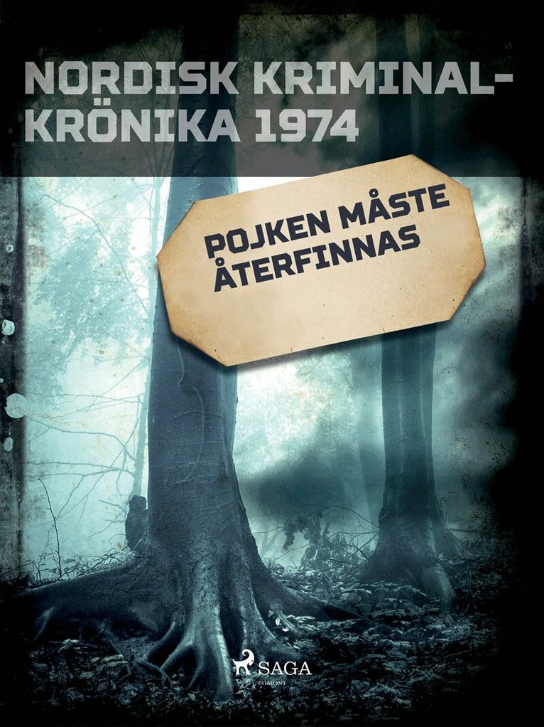 Diverse - Pojken måste återfinnas, E-bok