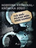 Två småpojkar mördade kamrat