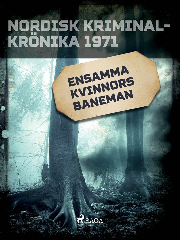 Diverse - Ensamma kvinnors baneman, E-bok