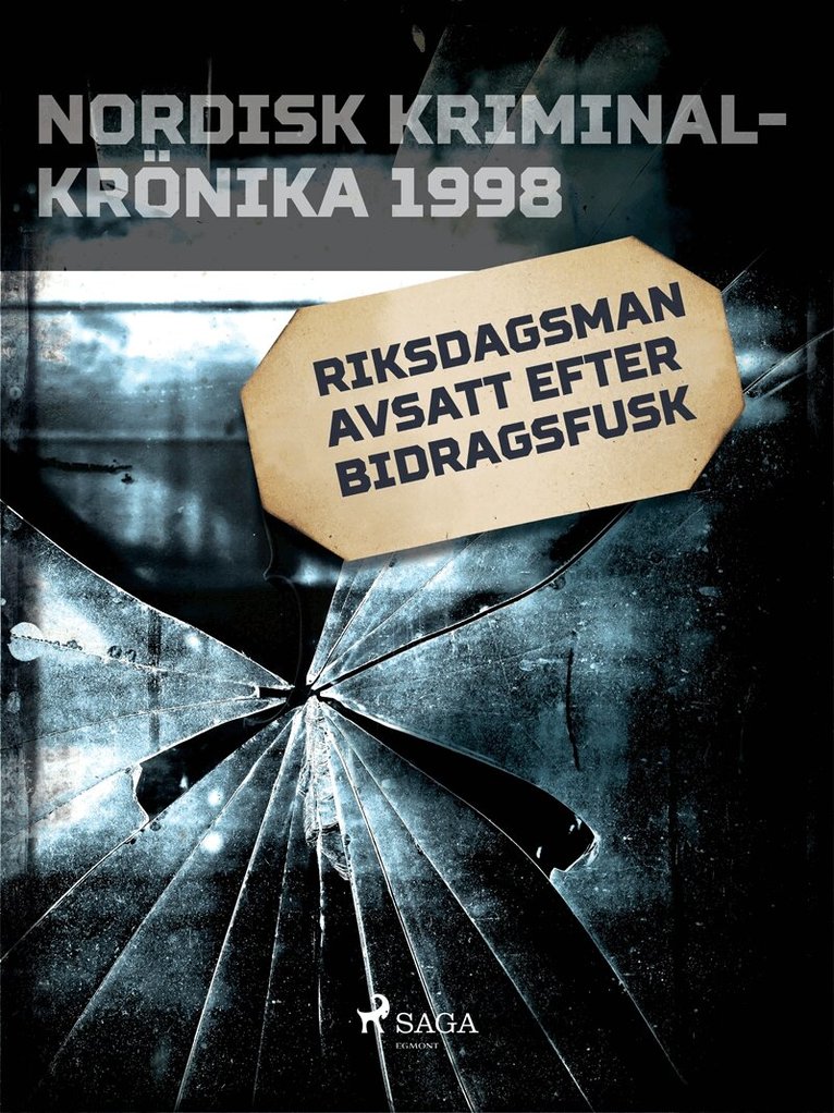 Diverse - Riksdagsman avsatt efter bidragsfusk, E-bok