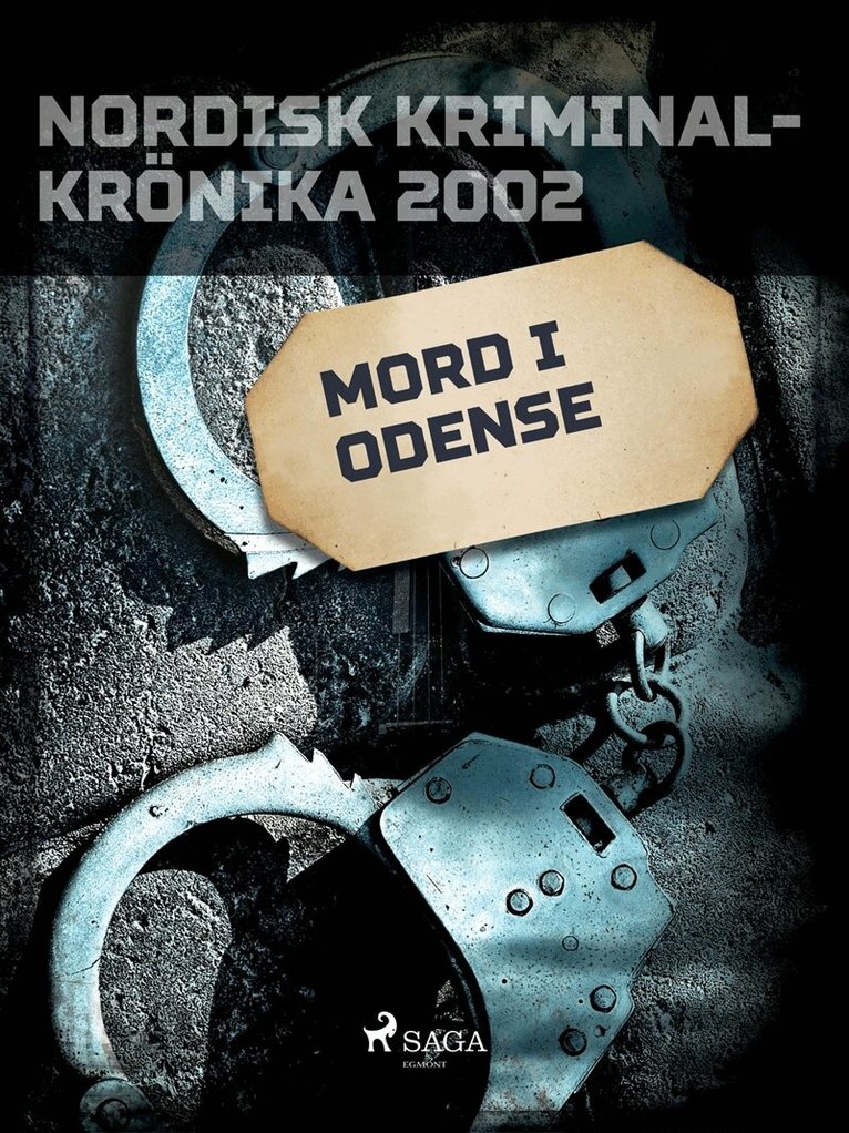 Diverse - Mord i Odense, E-bok