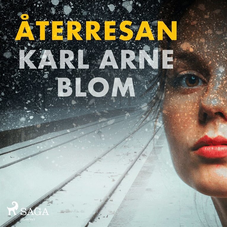 Karl Arne Blom - Återresan, Ljudbok