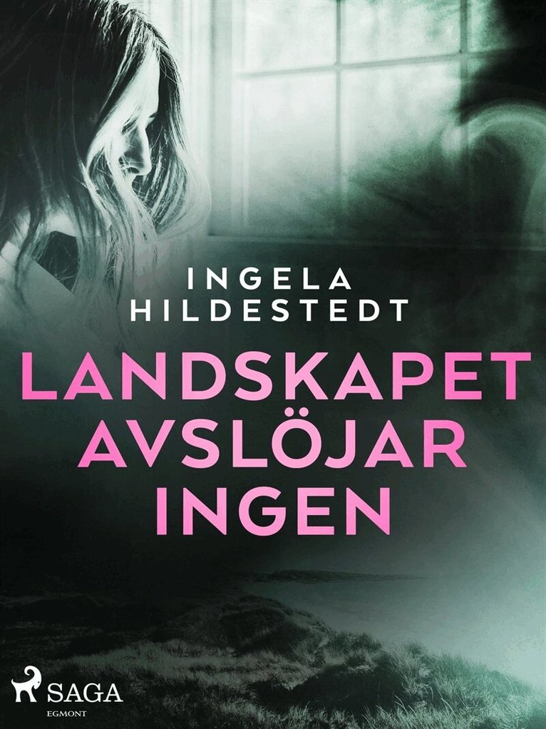 Ingela Hildestedt - Landskapet avslöjar ingen, E-bok
