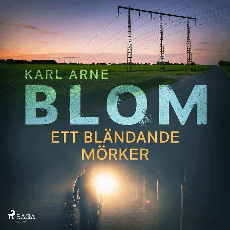 Karl Arne Blom - Ett bländande mörker, Ljudbok