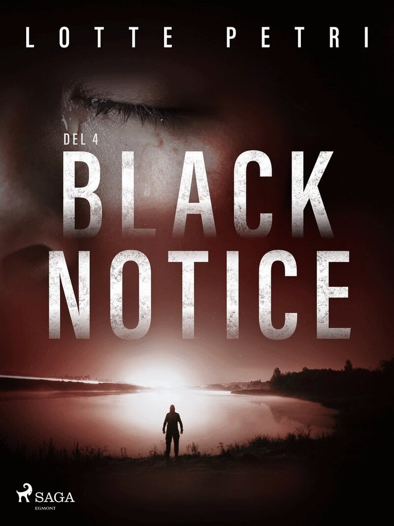 Lotte Petri - Black Notice del 4, E-bok
