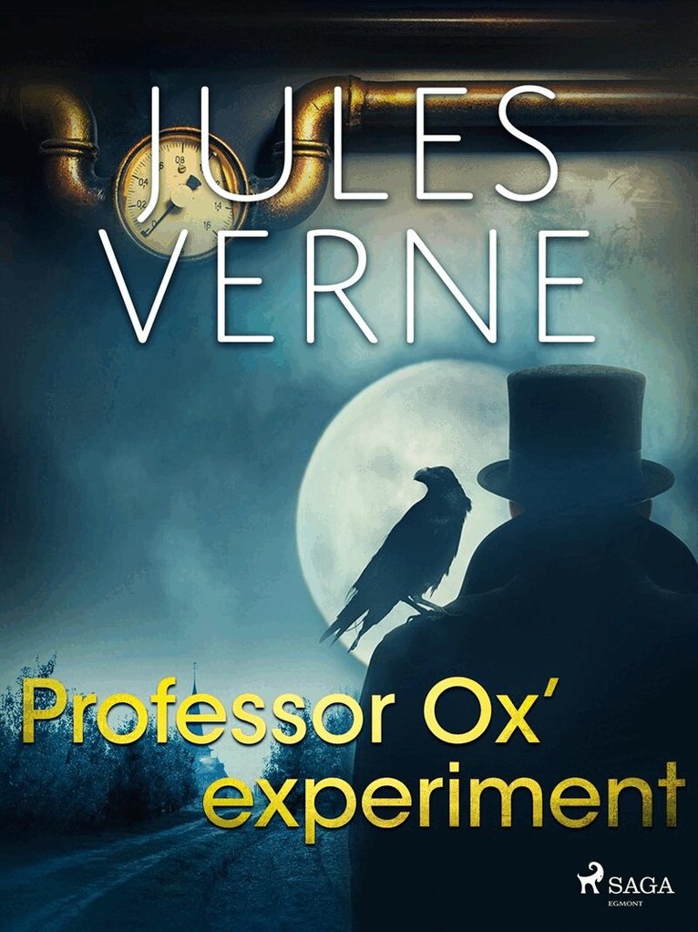 Jules Vernes - Professor Ox’ experiment, E-bok